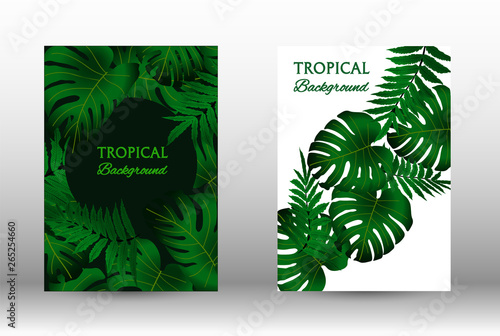 A set of tropic