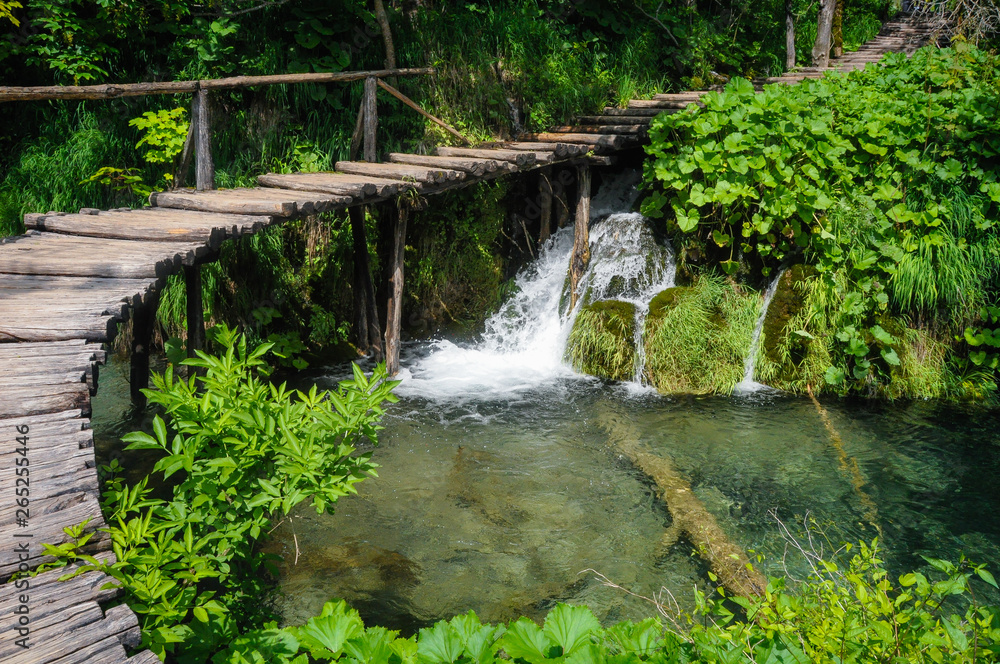 Fototapeta premium Wooden Hiking Trails in Plitvice Lakes National Park take you through lush green forest and over pristine lakes and waterfalls