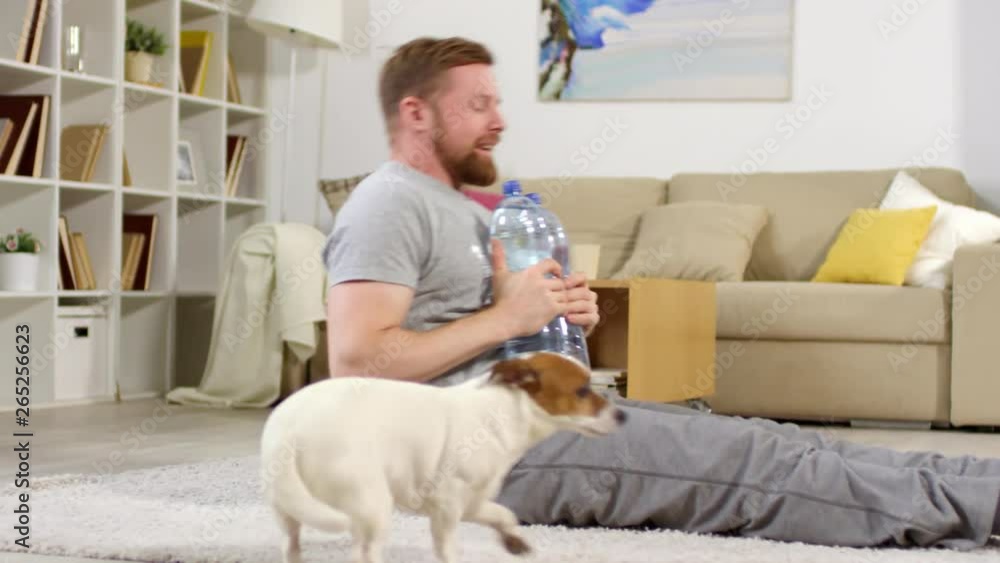Sporty man doing sit ups with water bottles as dumbbells during home workout and smiling while cute dog walking near him Sporty man doing sit ups with water bottles as dumbbells during home workout and smiling while cute dog walking near him