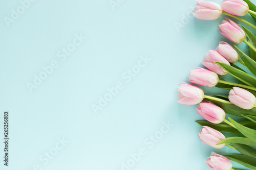 Greeting card with pink tulips.