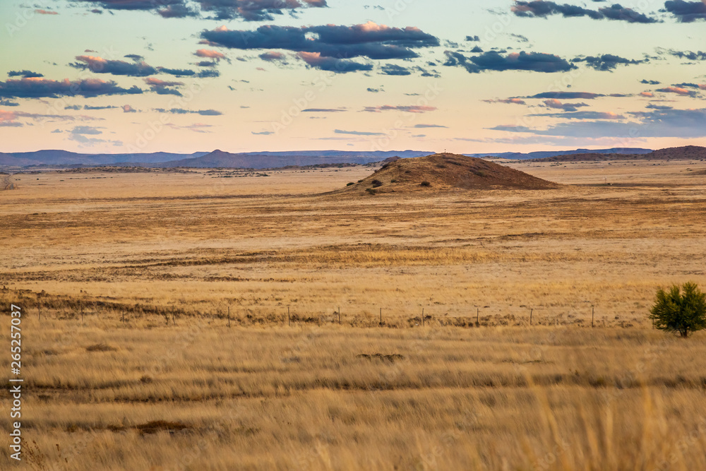 Obraz premium The dry and arid Karoo veld in the summertime, near Gariep dam, South Africa.