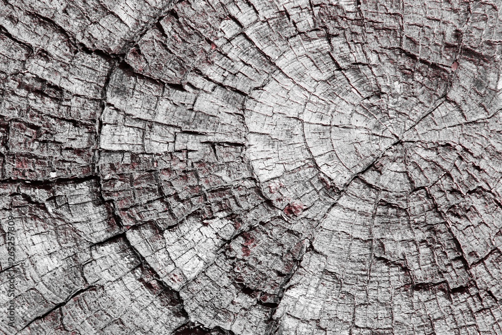 Fototapeta premium red natural desk texture - fantastic abstract photo background