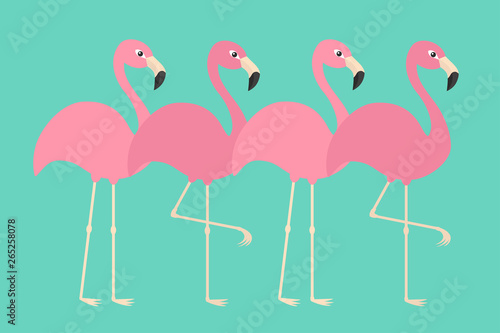 Pink flamingo set line. Exotic tropical bird. Zoo animal collection. Cute cartoon character. Decoration element. Flat design. Green background. Isolated.