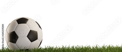 soccer ball green grass isolated 3d-illustration