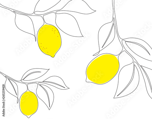Lemon branches with yellow fruits drawn in one line style. floral ornament.
