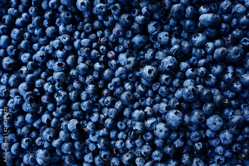 Fresh blueberry background. Texture blueberry berries close up Fresh blueberry background. Texture blueberry berries close up