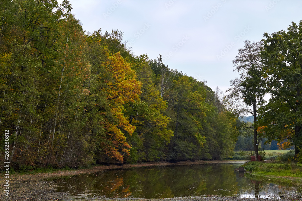 Green forest and river. Forest Lake. The river flows among trees. Beautiful view of nature. Landscape photo of green forest. Forest nature on a sunny day. Beautiful nature of Germany. Green forest and river. Forest Lake. The river flows among trees. Beautiful view of nature. Landscape photo of green forest. Forest nature on a sunny day. Beautiful nature of Germany.