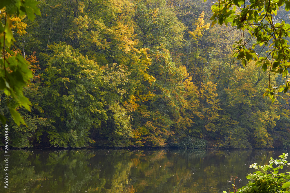 Green forest and river. Forest Lake. The river flows among trees. Beautiful view of nature. Landscape photo of green forest. Forest nature on a sunny day. Beautiful nature of Germany. Green forest and river. Forest Lake. The river flows among trees. Beautiful view of nature. Landscape photo of green forest. Forest nature on a sunny day. Beautiful nature of Germany.