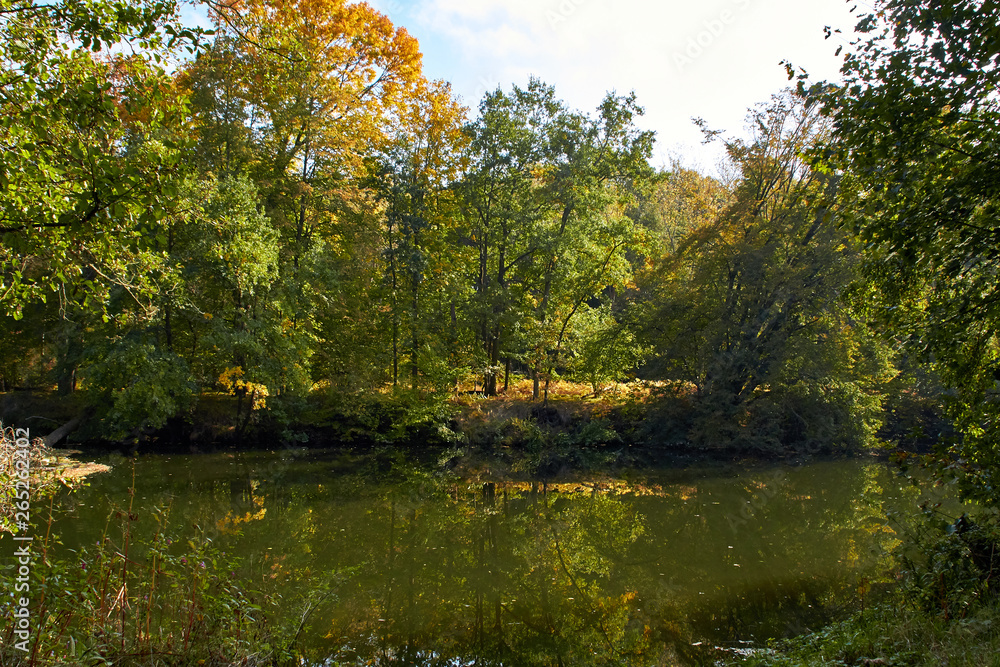 Green forest and river. Forest Lake. The river flows among trees. Beautiful view of nature. Landscape photo of green forest. Forest nature on a sunny day. Beautiful nature of Germany. Green forest and river. Forest Lake. The river flows among trees. Beautiful view of nature. Landscape photo of green forest. Forest nature on a sunny day. Beautiful nature of Germany.