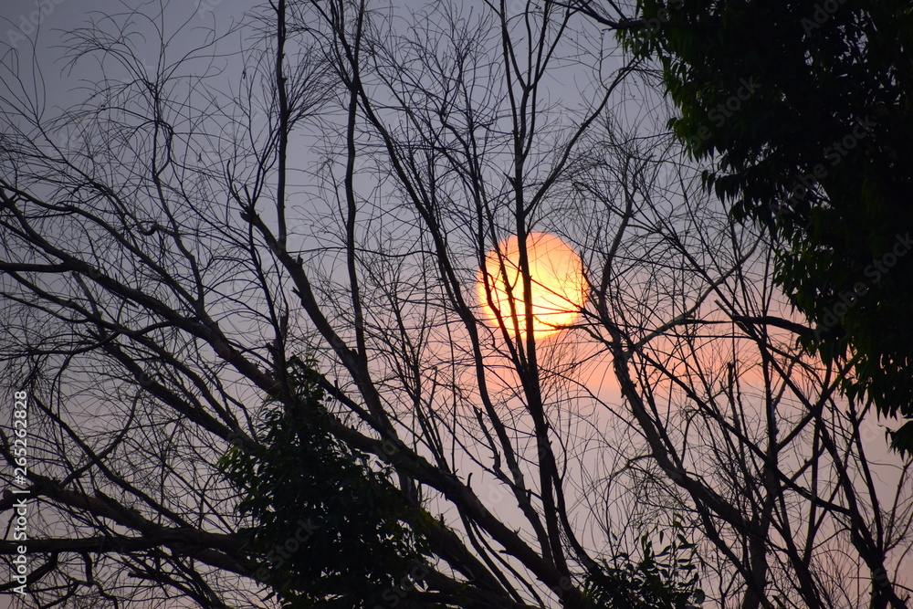 Obraz premium The sunset