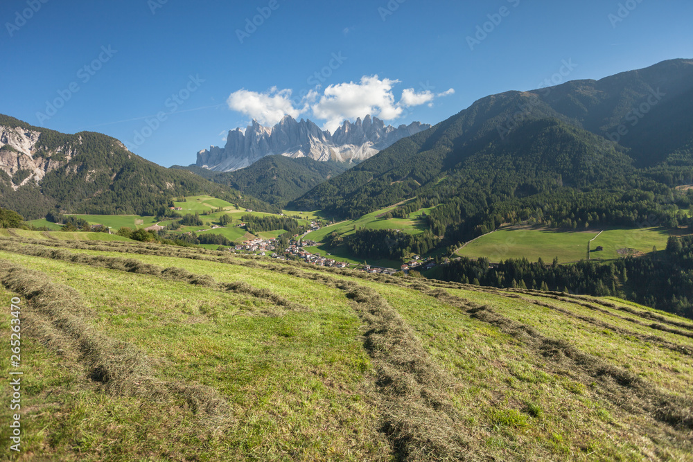 Rural scene during hay harvest in Villnoess in Dolomites