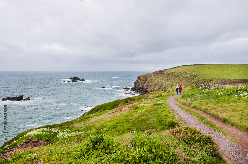 Lizard Point, Küste, Küstenwanderung, Wanderer, Halbinsel, Cornwall, Frühling, Frühlingsblumen, Südengland