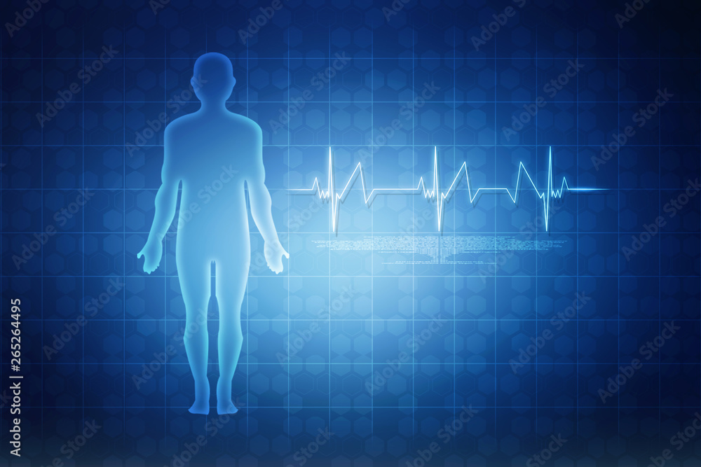 2d illustration Human Male Muscle Body 2d illustration Human Male Muscle Body