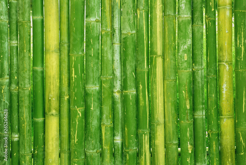 Fototapeta Naklejka Na Ścianę i Meble -  Close up of green bamboo fence texture background.