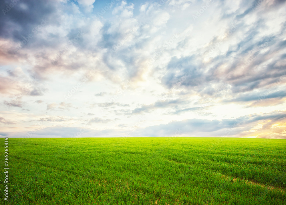 Beatiful morning field with bright sun Beatiful morning field with bright sun