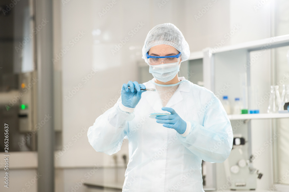 Serious concentrated young female laboratory scientist in disposable cap and coat using tweezers while taking medical sample from petri dish