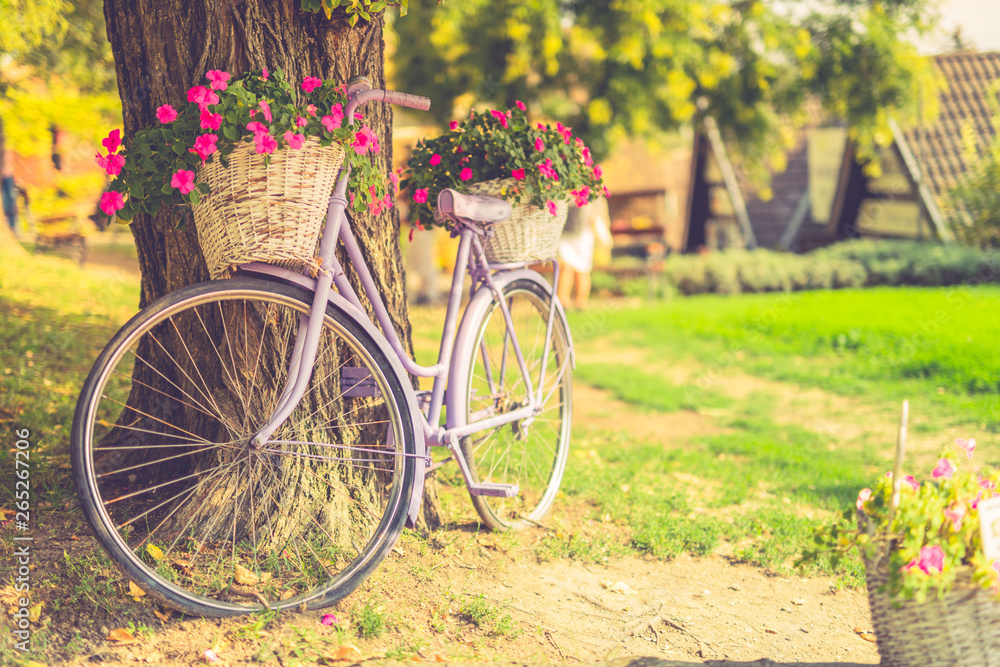 Vintage bicycle with flowers on summer landscape background 
