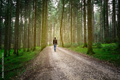 Man walks alone on forest road with mossy ground. © robsonphoto