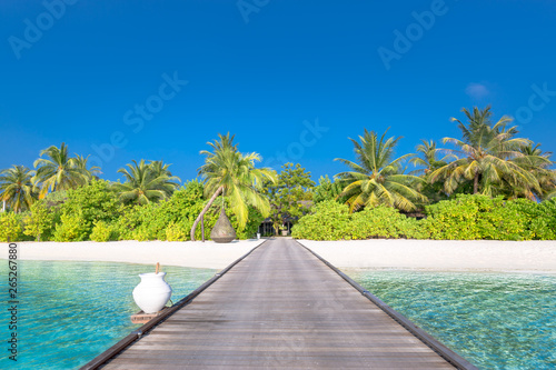 Fototapeta Naklejka Na Ścianę i Meble -  Amazing beach scene, long jetty into the palm trees. Maldives, paradise beach background, design banner. Luxury tourism travel destination concept