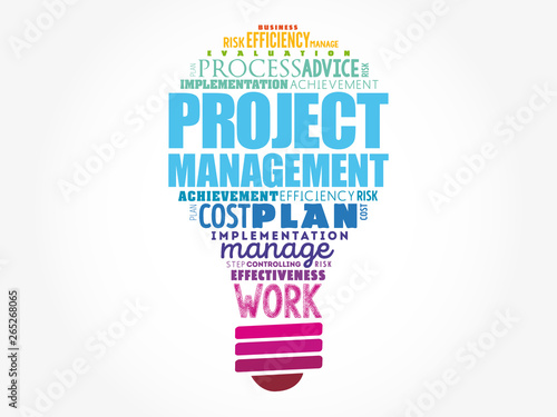 Project Management light bulb word cloud collage, business concept background