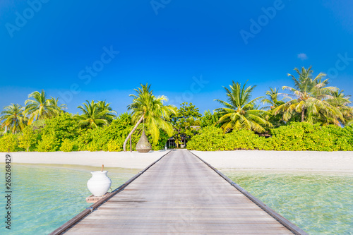 Amazing beach scene, long jetty into the palm trees. Maldives, paradise beach background, design banner.