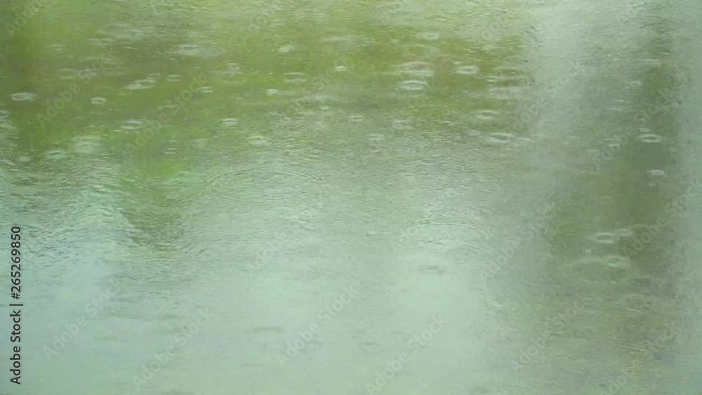rain drops on a calm lake rain drops on a calm lake
