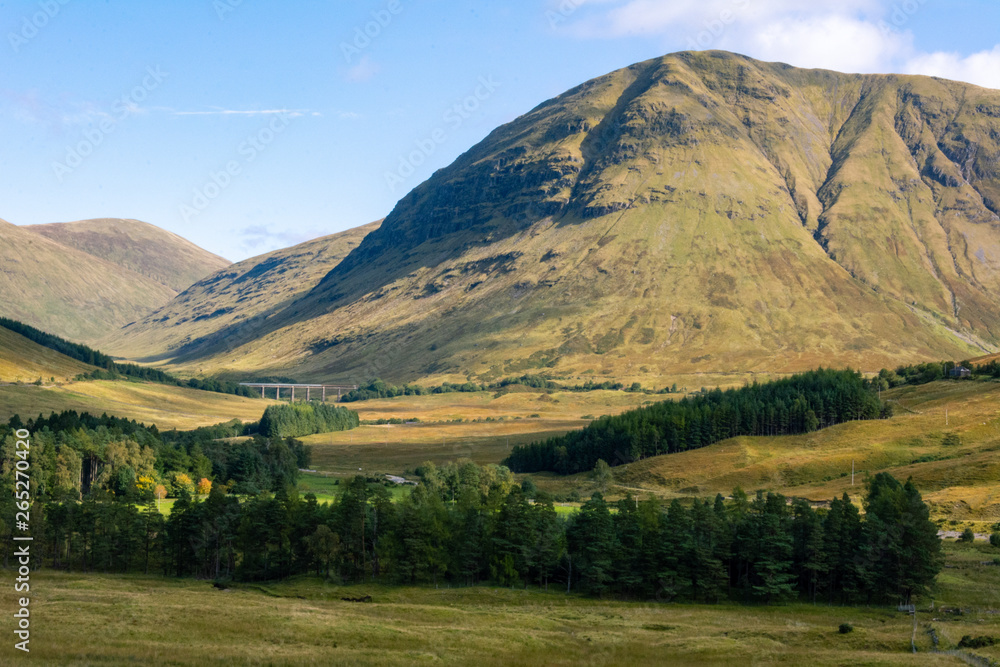 Obraz premium Moutain Dew