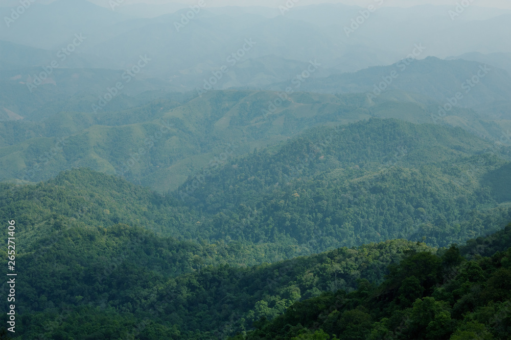 Fototapeta premium Widok na góry z najwyższego punktu