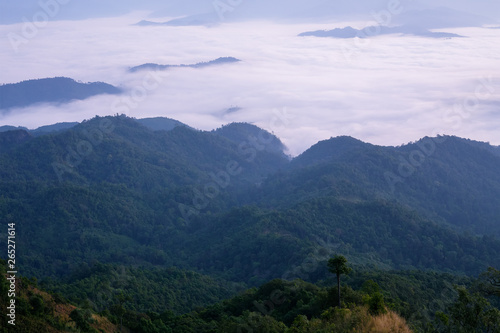 Mountain view from the highest point.