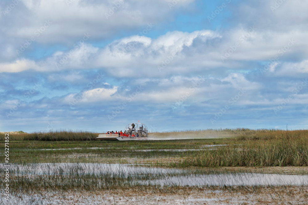 Fototapeta premium Bootsfahrt in den Everglades Florida