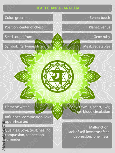 Chakras symbols with description of meanings infographic