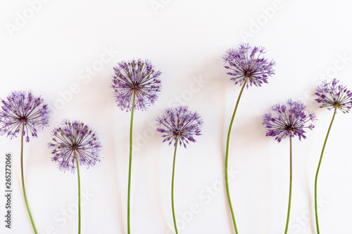 Purple wildflowers