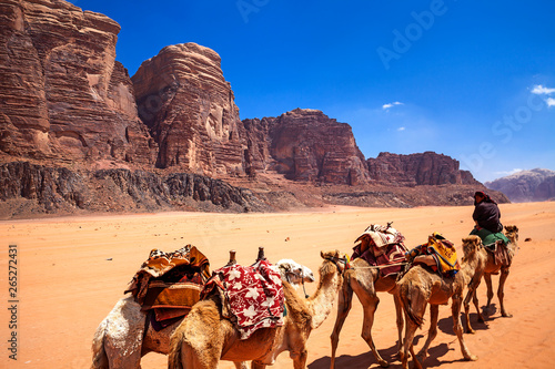 Cammelli nel deserto del Wadi Rum, Giordania © Marcella Miriello