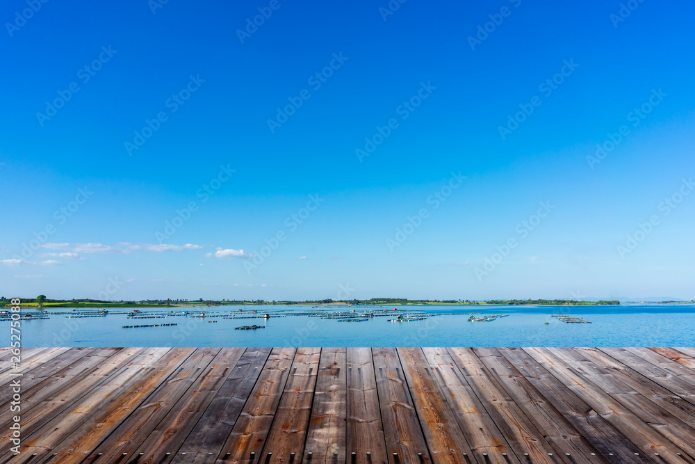 Empty wood floor with landscape background.