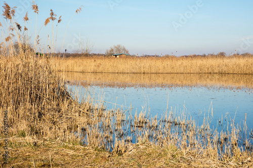 Teich in den Rieselfeldern, Münster, Münsterland, Nordrhein-Westfalen, Deutschland, Europa photo