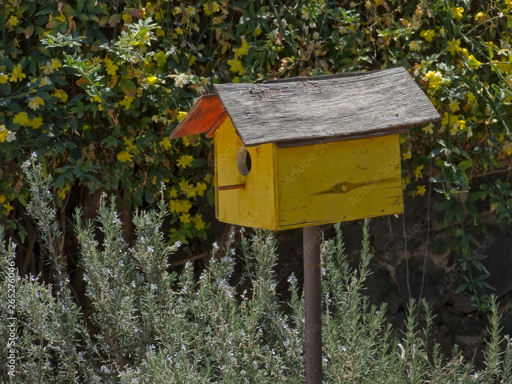 Yellow weathered bird house in a home garden under the bright sunlight Yellow weathered bird house in a home garden under the bright sunlight