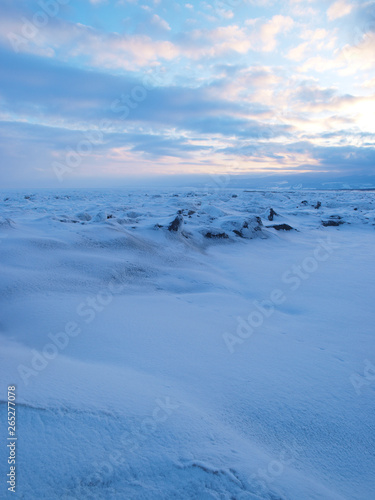夜明けの流氷の海