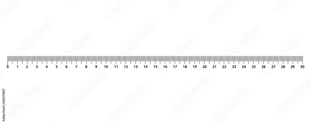 Metric Rulers. Size indicator units. Ruler 30 cm. Measuring tool.