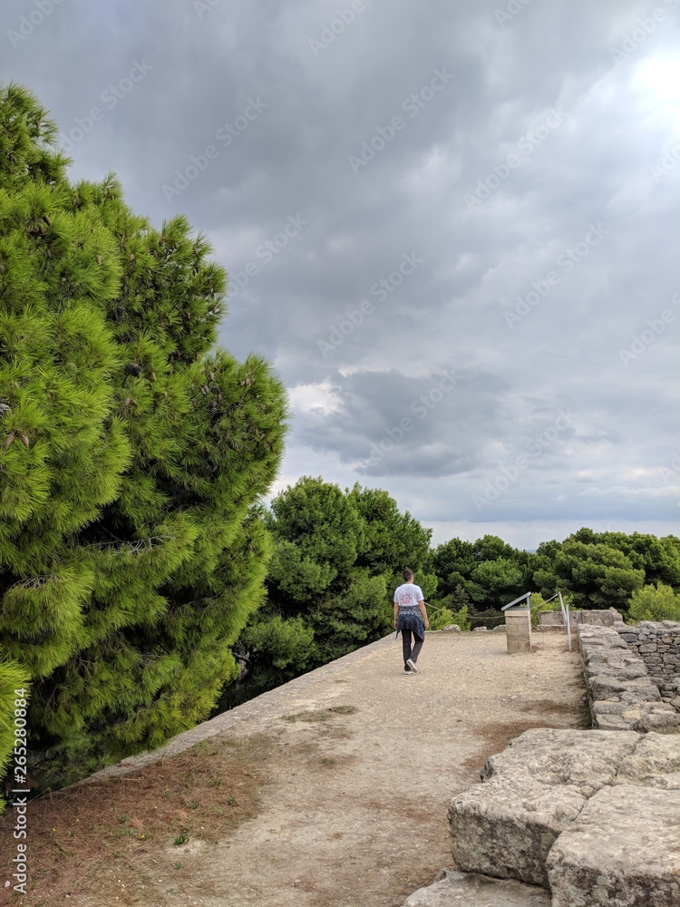 Fototapeta premium Walk