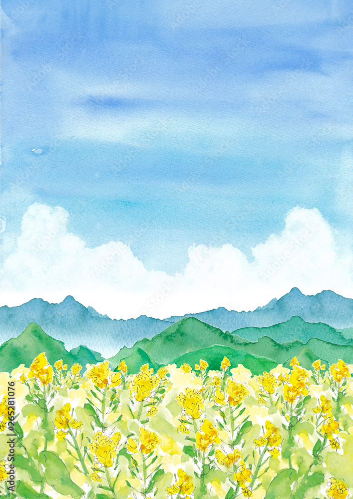 菜の花畑と山と入道雲の背景 Stock イラスト Adobe Stock