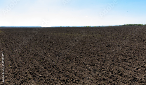 Agriculture farm background