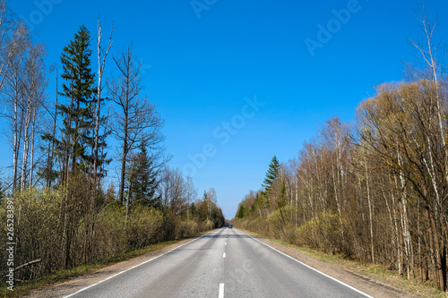 Landscape with the image of country road in a forest
