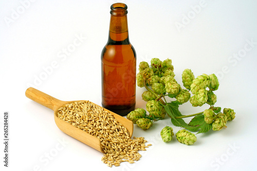 Photography Beer, barley and hops.