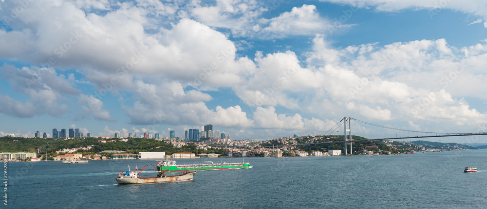 The Bosphorus Bridge and the 15th Martyrs Bridge