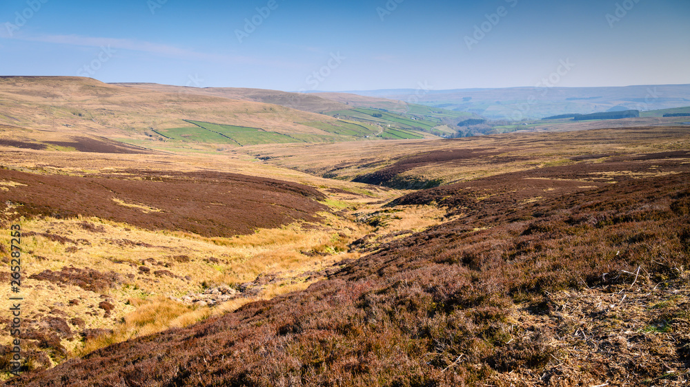 North Pennines View near Rookhope, AONB a landscape of high, heather covered moorland in the North of England