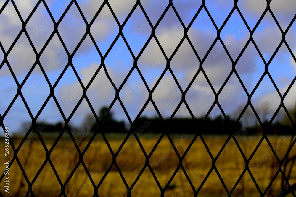 Fototapeta premium Fences 