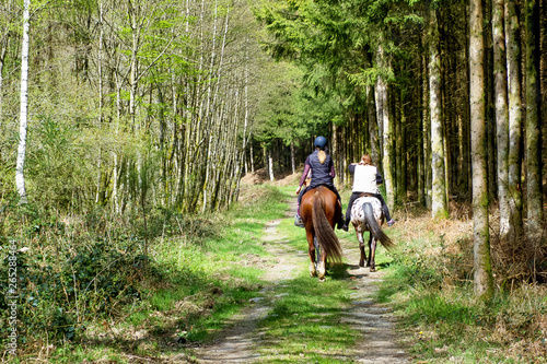 Obraz na płótnie chevaux balade foret