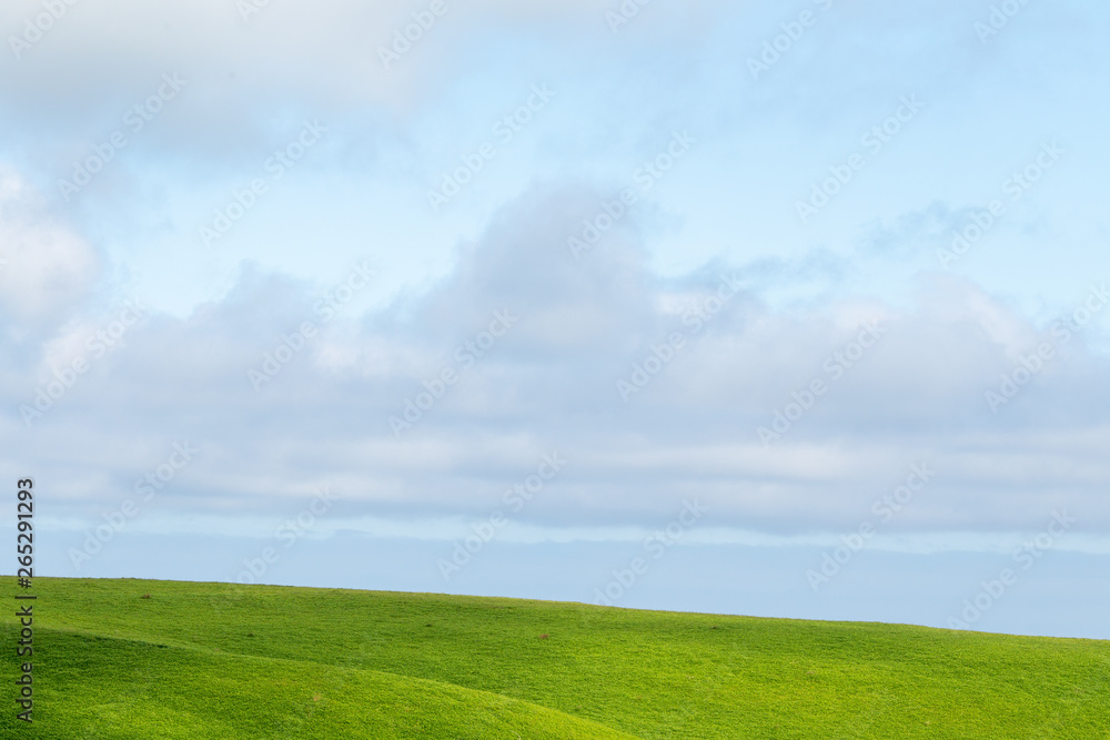 green field and blue sky Hokkaido Japan