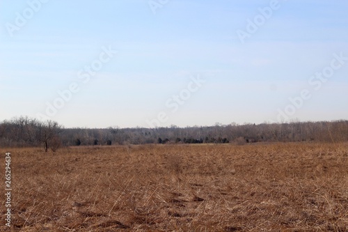 The brown grass field in the countryside on a clear day.