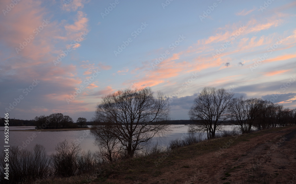 Silhouettes of trees against the background of a lake and a blue sky with pink clouds in the spring evening.